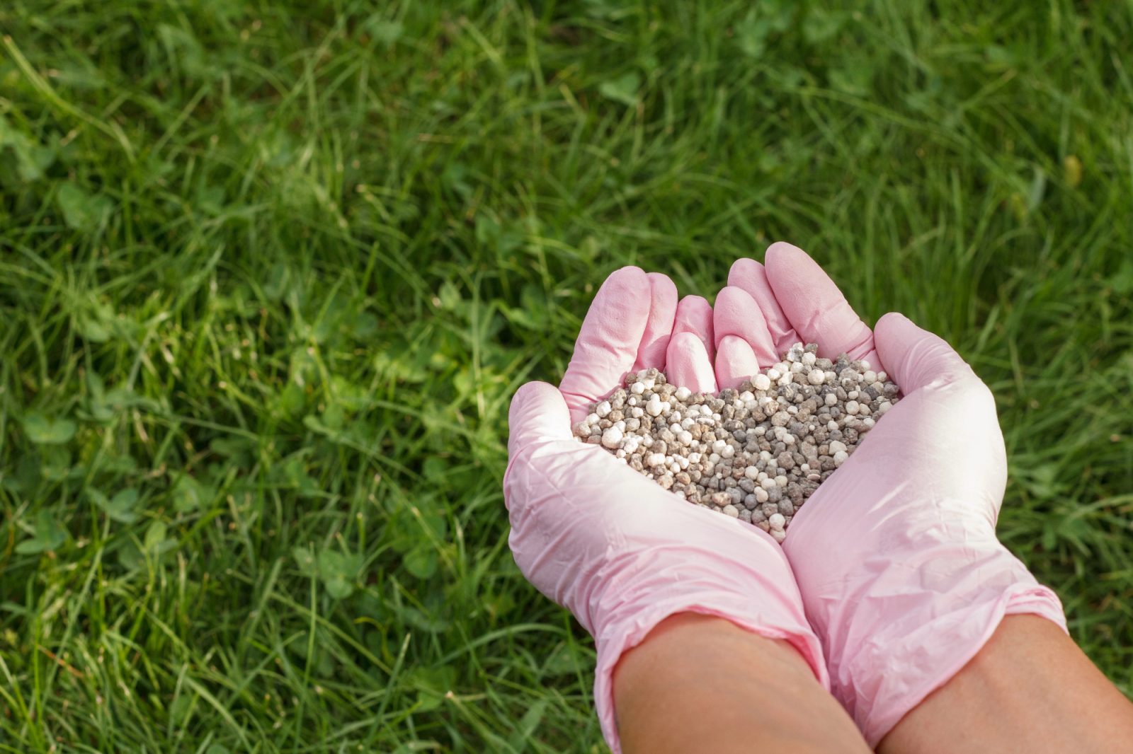 Gnojilo za travo mi je prišlo še kako prav